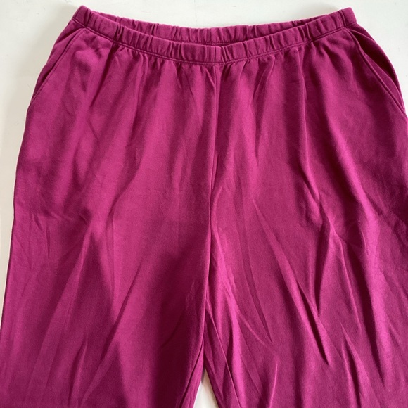 ☀️3/$25☀️ NWOT! LANDS END capri pants #N217 - Picture 4 of 5